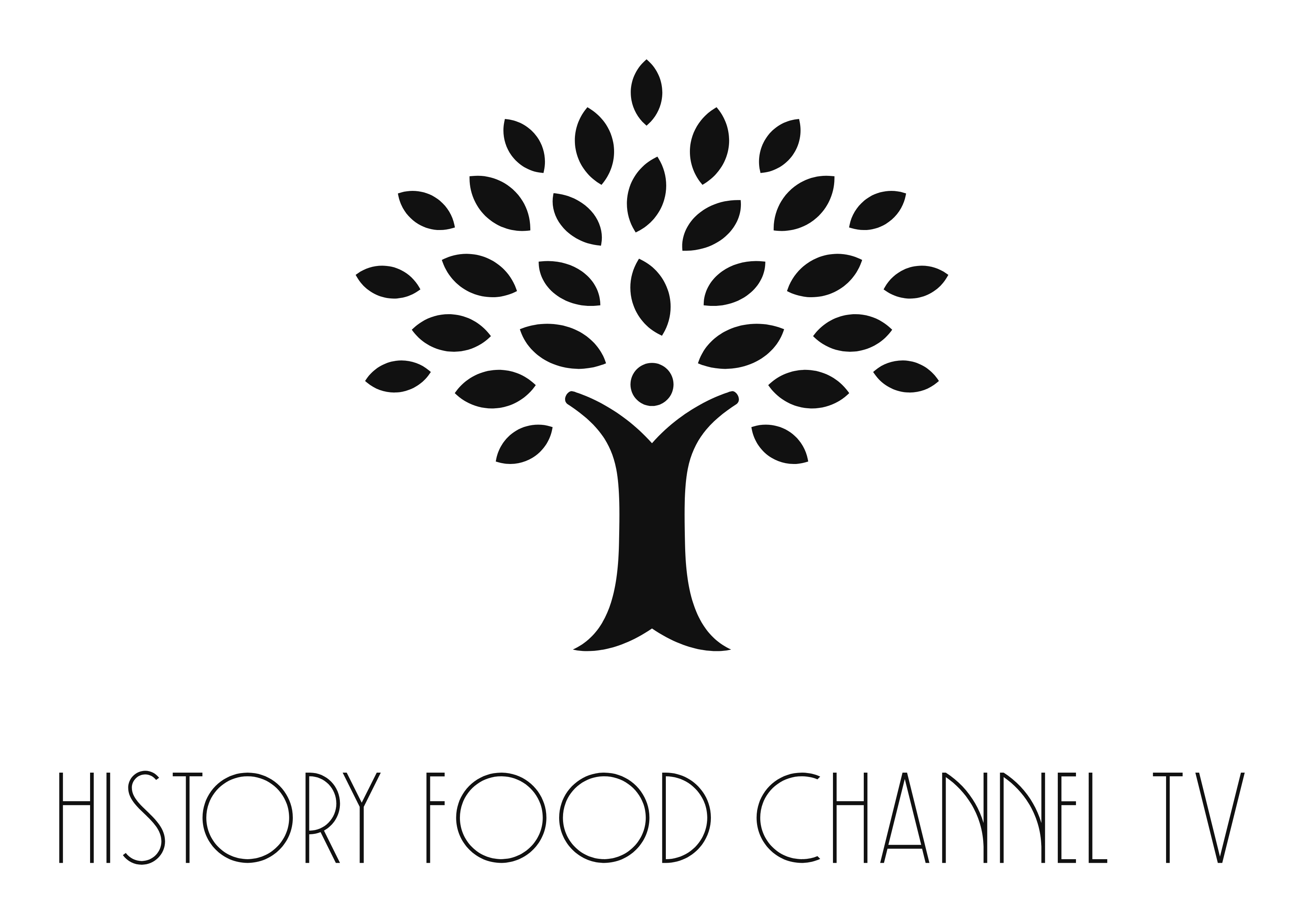 History Food Channel TV